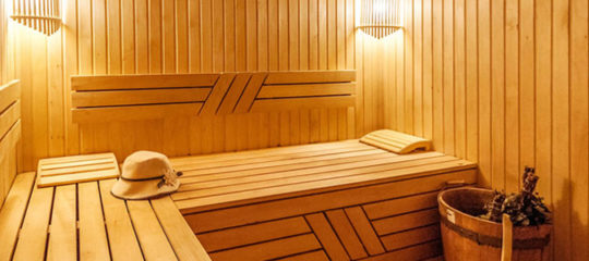 Différents modèles de sauna