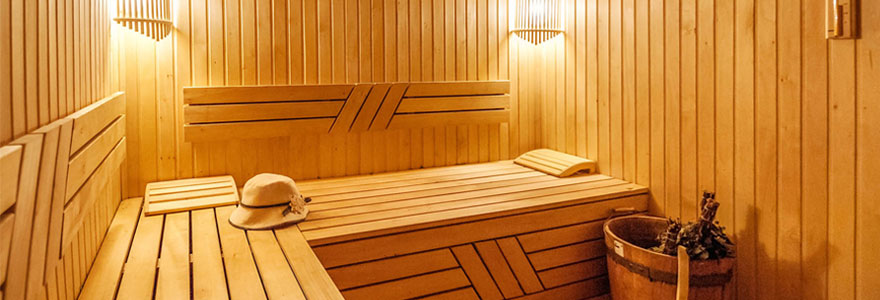 Différents modèles de sauna